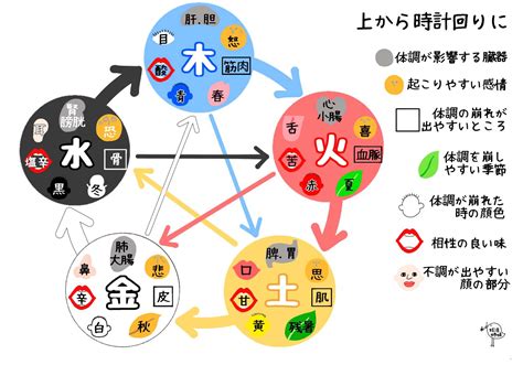 陰陽五行論|陰陽五行とは？その影響や太極図も解説